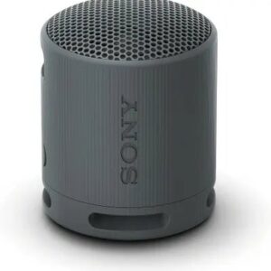 Sony SRS-XB100 Portable Speaker Black (SRS-XB100/BCE)