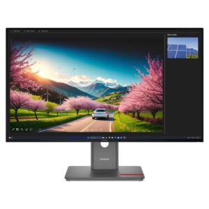 Lenovo ThinkVision P32UD-40 31.5" 3840x2160 350 cd/m² 120Hz Raven Black