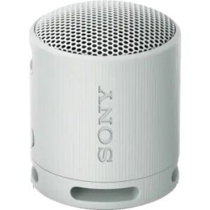 Sony SRS-XB100 Portable Speaker Gray (SRS-XB100/HCE)