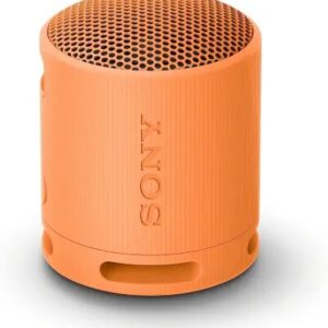 Sony SRS-XB100 Portable Speaker Orange (SRS-XB100/DCE)